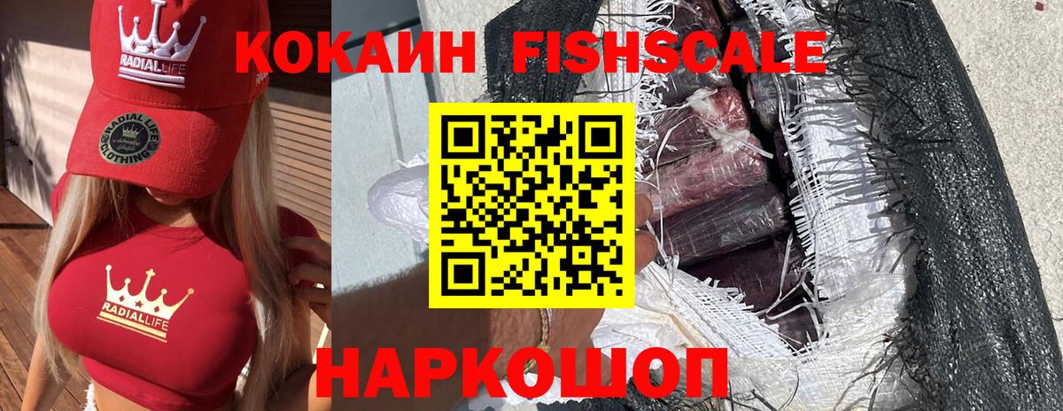 Cocaine Эквадор  COCAIN FishScale  купить   Новосибирск  Вход с VPN 