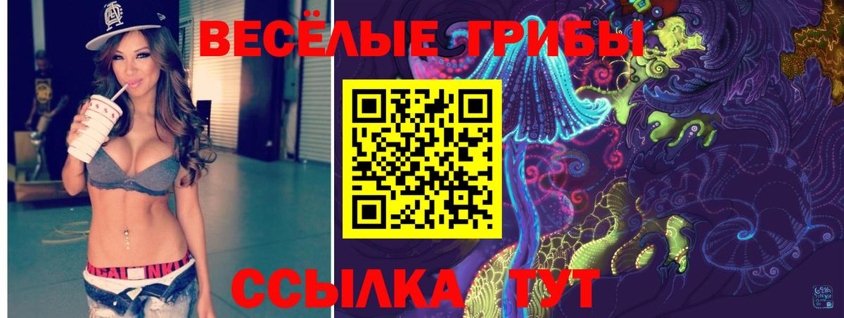 магазин продажи наркотиков  Галлюциногенные грибы MAGIC MUSHROOMS  Вход с VPN  Новосибирск 