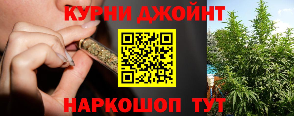 Конопля планчик Новосибирск